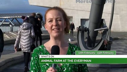 What's On Guide 31st January 2020