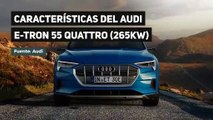 Características del Audi E-Tron 55 Quattro (265 kW)