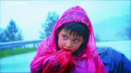 Европейцы подменяют полицию на улицах и в сети