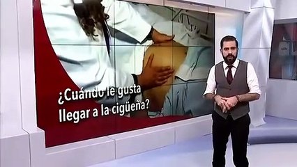 ¿Cuándo nacen más bebés en México?