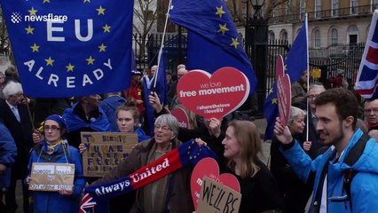 Labour MEP Julie Ward calls Brexit 'historic mistake' as she joins small crowd of Remainers in Westminster