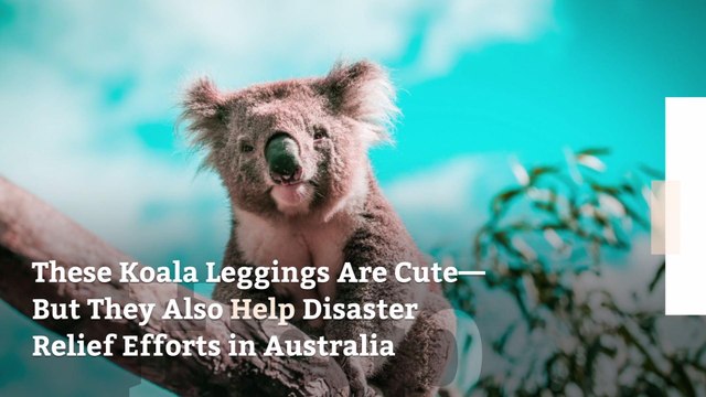 These Koala Leggings Are Cute—But They Also Help Disaster Relief Efforts in Australia