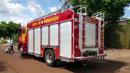 Cascavel Velho: cão que caiu em bueiro é resgatado pelos bombeiros