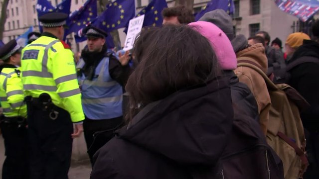 Pro-EU supporters say 'goodbye to friends' in Westminster