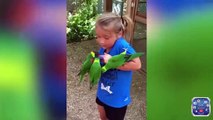 funny video part 3 - Kid and pets funny video - funny scene - kid fun videos - laughing videos