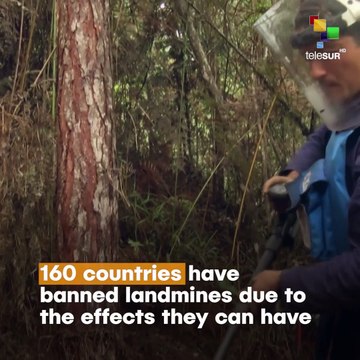 Trump Wants To Bring Back Deadly Landmines