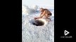 Ce grand-père plonge dans ce lac gelé par -40°C... courageux et pas frileux