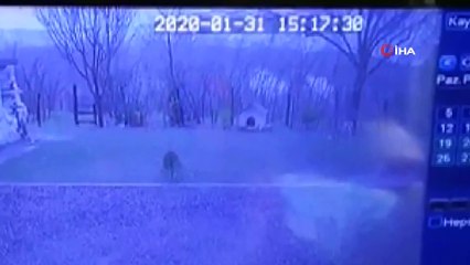 Doğalgaz ana boru hattının patlama anı kamerada !