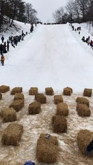 Sled Narrowly Wins Race, but at a Cost