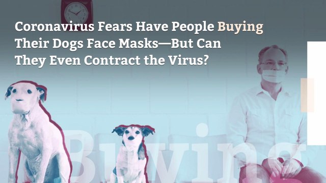 Coronavirus Fears Have People Buying Their Dogs Face Masks—But Can They Even Contract the Virus?