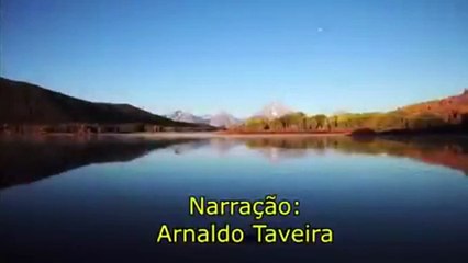 Rato Anão, Rato Voador, Rato Aquático Meme