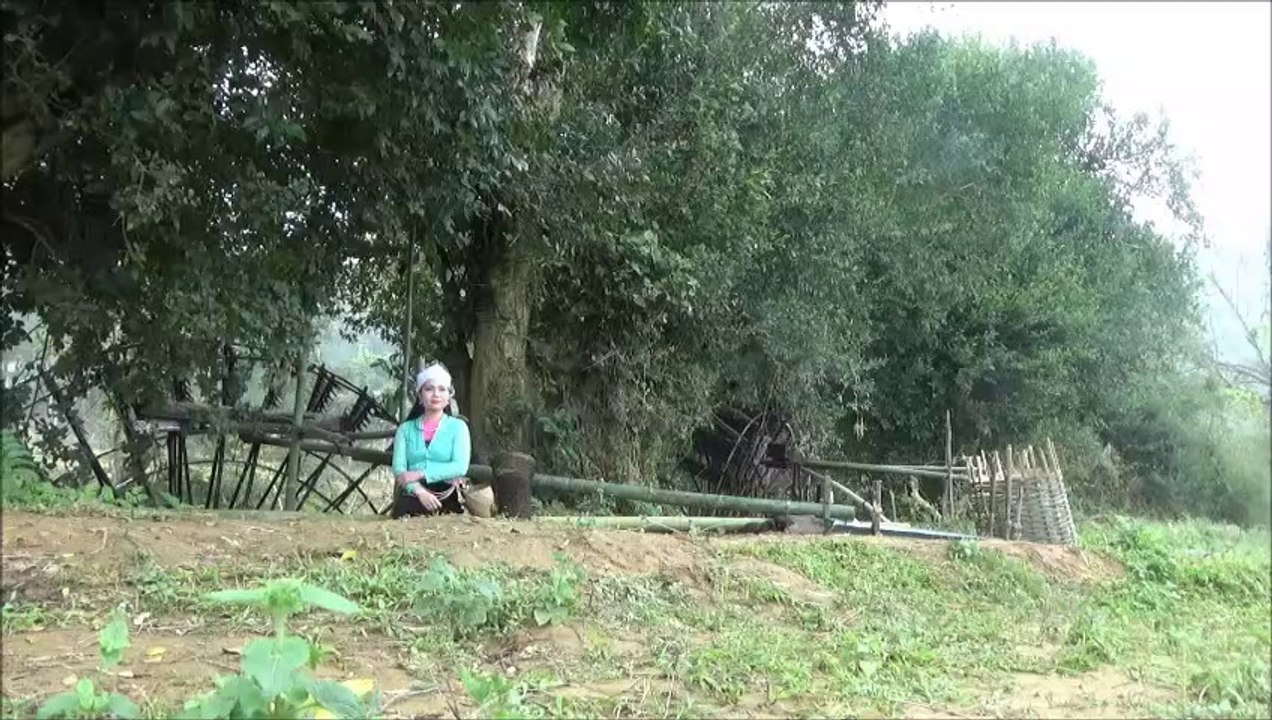 Chungtoidilamphim