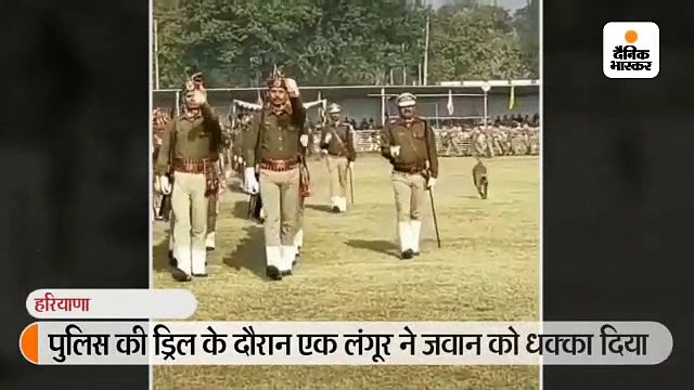  जवान को लंगूर के धक्का देने पर अफसर ने कहा- ड्रिल सही नहीं करने पर उस्ताद भी ऐसा ही चाहता है