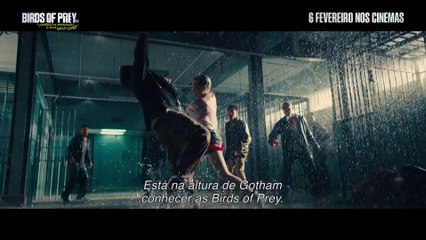 Birds Of Prey e a Fantabulástica Emancipação de uma Harley Quinn Filme - TV Spot