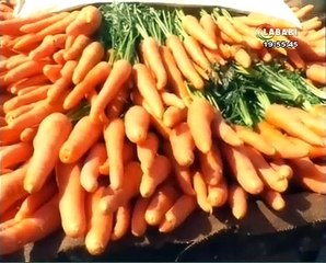 JT LABARI 31 JANVIER 2020