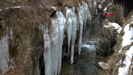 Sivas doğa harikası şuğul kanyonu'nda dev buz sarkıtları oluştu