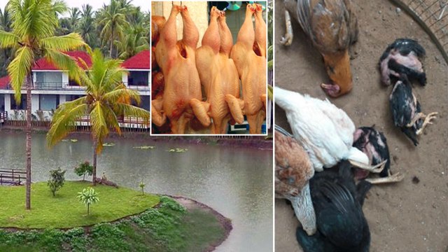 Hersis Virus : New Virus In Andhra Pradesh !