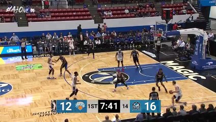 Ignas Brazdeikis NBA G League Highlights: January 2020