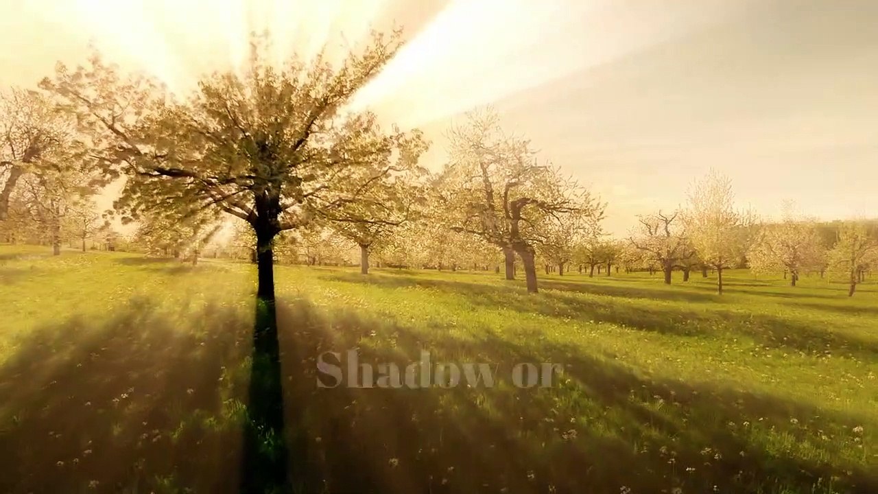 Groundhog Day _ Seed Processing _ Seed Company _ Packaging _ Storage _ Jam Jam Group