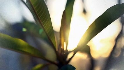 A vendre - Maison - Villaraboud (1679) - 6.5 pièces - 170m²