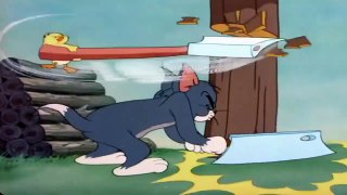 Tom and Jerry   Little Quacker, Episode 47 Part 2