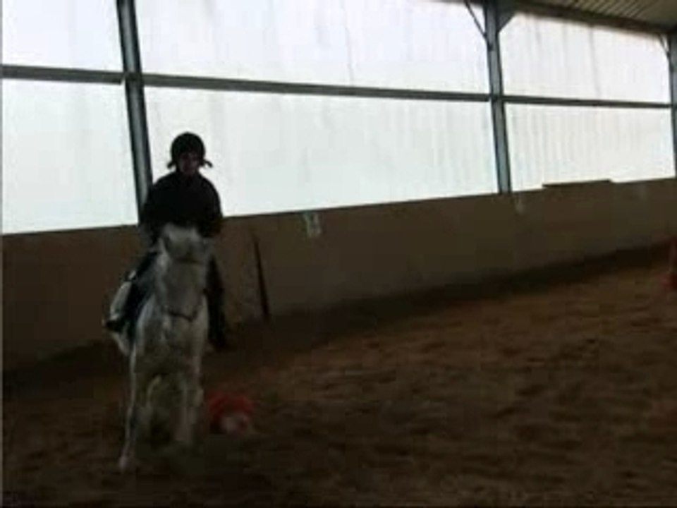 Equitation debo 13.02.08_0001