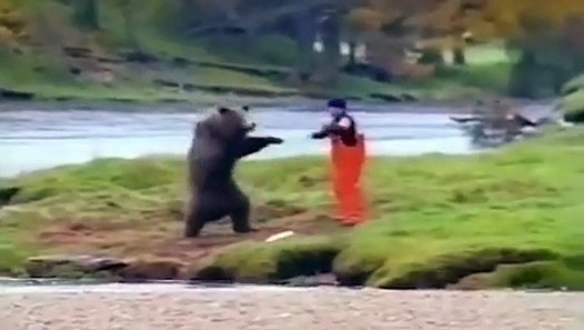 How To Fight A Bear Real Animal Fight Bear Vs Human The terrible