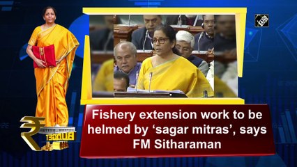 Budget 2020: Fishery extension work to be helmed by ‘sagar mitras’, says FM Sitharaman
