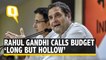 Budget 2020: Rahul Gandhi Calls FM Nirmala Sitharaman's Budget ‘Long But Hollow'