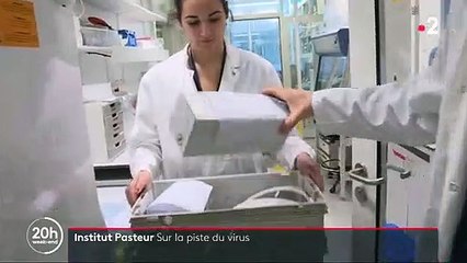 Voici comment l'Institut Pasteur travaille sur le fameux coronavirus chinois pour tenter de l'identifier au plus vite