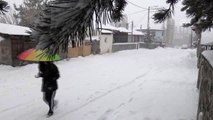 Doğu Anadolu'da yoğun kar yağışı etkili oldu - KARS