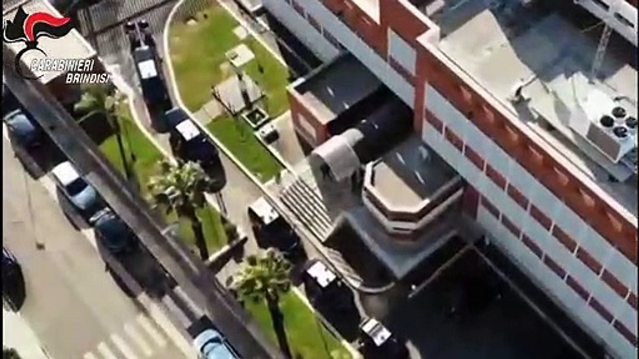 Puglia: uccidono cane a colpi d'arma da fuoco perché infastidiva i mafiosi durante le loro operazioni criminali, 20 arresti nel brindisino