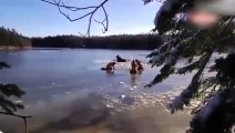 Buz tutan nehirde mahsur kaldı!