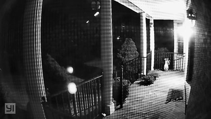 Mystery of the Sandal Thief Solved