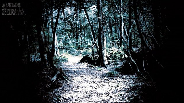 Conoce uno de los lugares más espeluznantes del mundo