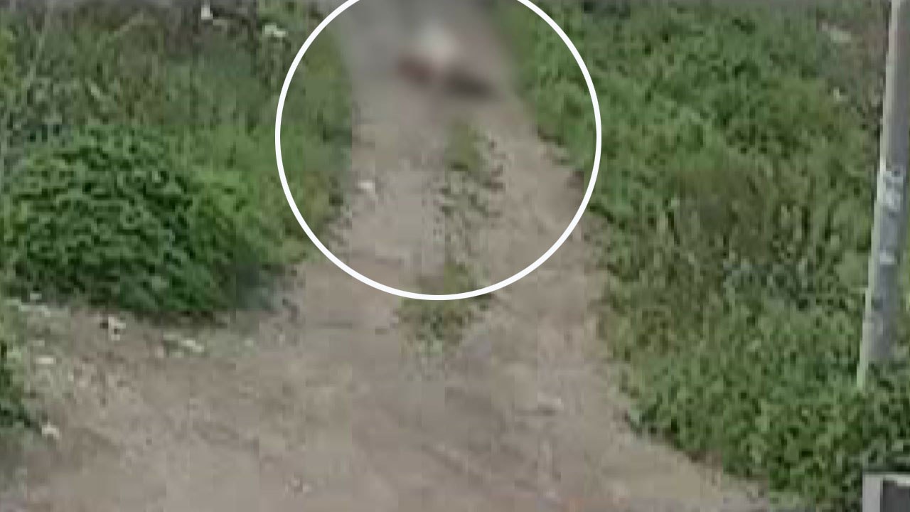 CCTV 속 '대형견과 3분간 사투'...유족 "반복 안 되길" / YTN