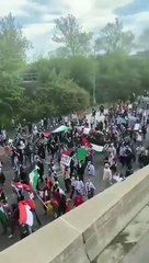 أين مصر أكبر مظاهرة مؤيدة لفلسطين في تاريخ أمريكا أكثر- من مائة الف شخص فى مدينة ديترويت