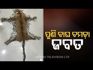 Leopard Skin Seized In Boudh