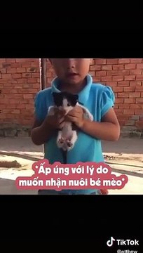 xót xa bé trai xin bà nuôi mèo hoang vì mồ côi giống nhau