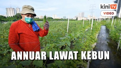 Annuar lawat kebun 'Hijrah Warrior' diusahakan gelandangan