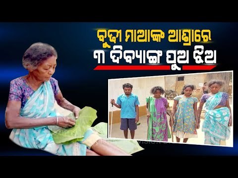 Special Story | 70 Year Old Woman Shoulders Burden Of 3 Dibyang Children