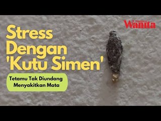 Stres Dengan ‘Kutu Simen’