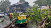 Cyclone Tauktae leaves signs of destruction! Watch report