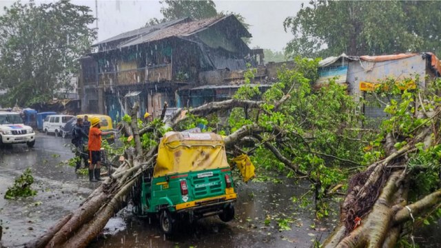 Cyclone Tauktae leaves signs of destruction! Watch report