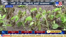 Rajkot_ Heavy damage to crops due to cyclone Tauktae, farmers worried _ TV9News