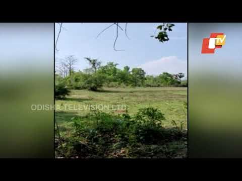 Narrow Escape For Security Forces From Maoists' Landmine Attack | Odisha