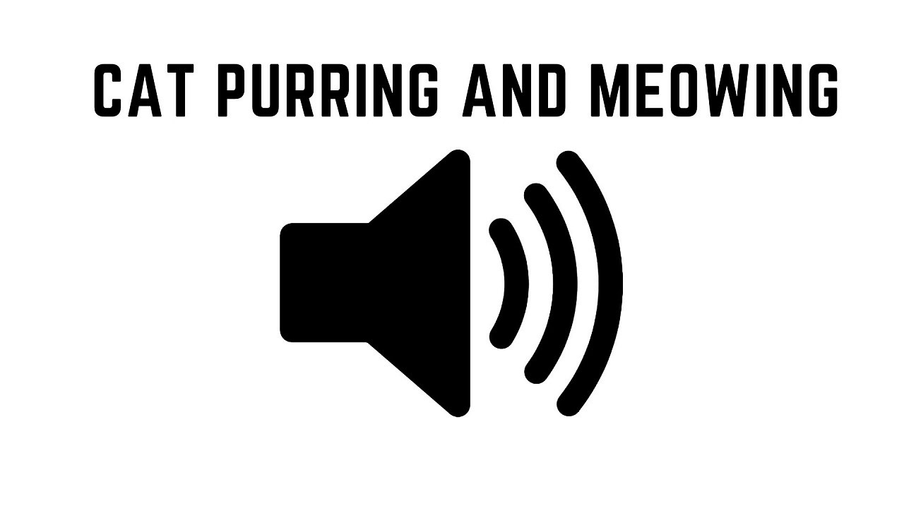 Sound Of Cat Purring And Meowing | Natural Sounds | Sounds You Like - video  Dailymotion