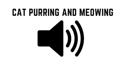 Sound Of Cat Purring And Meowing | Natural Sounds | Sounds You Like