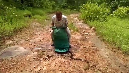 285 yılanı aynı anda serbest bıraktı!