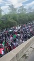 ABD'nin Detroit eyaletinde Filistin’e destek yürüyüşü